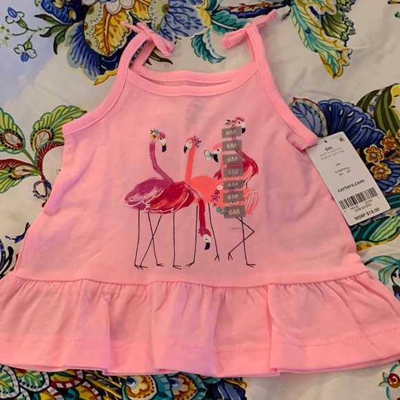 Flamingo tank - Picture 1 of 1